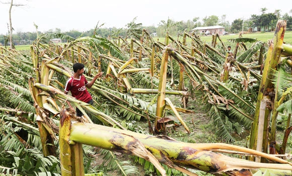 Bangladesh storm kills 41, injures hundreds