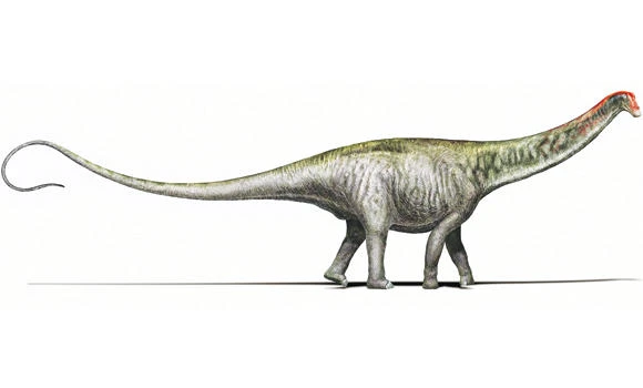 Scientists restore the good name of Brontosaurus