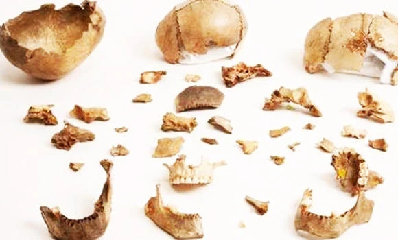 Early Britons ate remains of each other