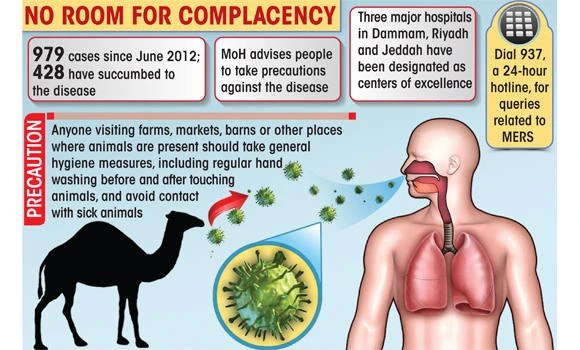 MERS cases drop sharply