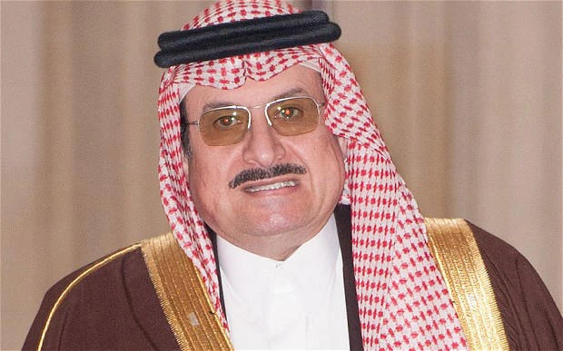 Saudi envoy: Yemen strikes show Arab resolve to act alone