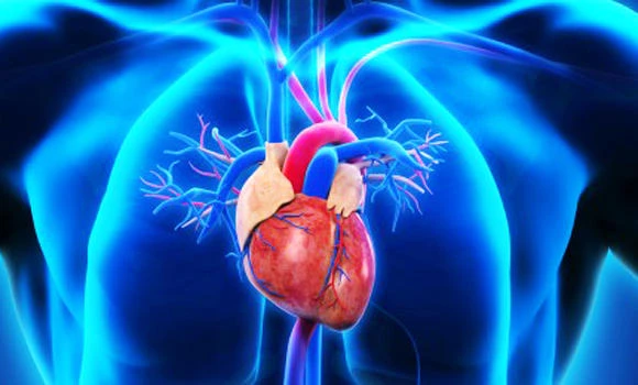 Top experts discuss latest techniques in heart care