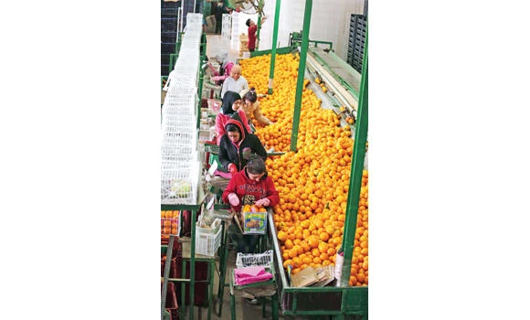 Closure of last overland route chokes off Lebanon exports