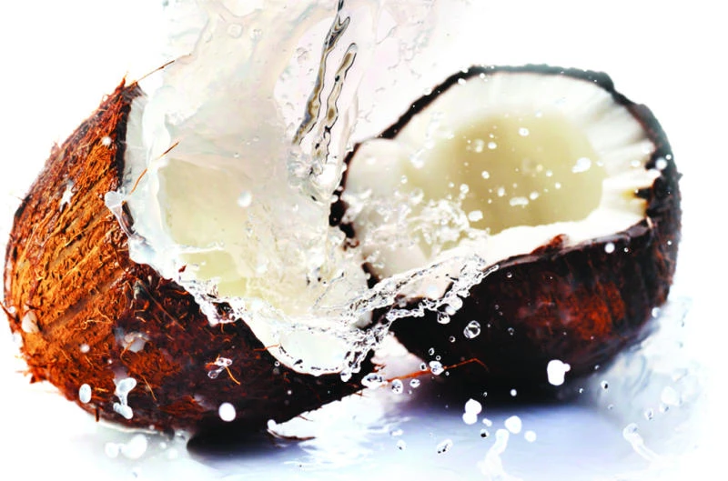The exotic coconut: The ‘super nut’ (Part 6)