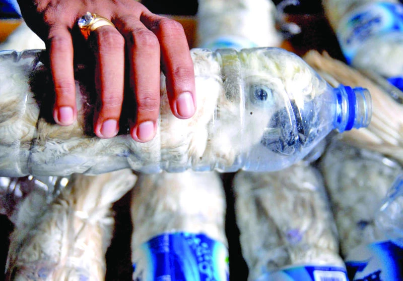 Indonesian smuggler hides birds in plastic bottles