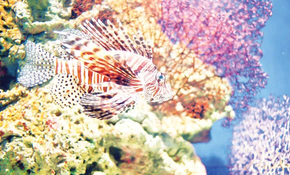 Discover a new side of Malaysia: Sabah