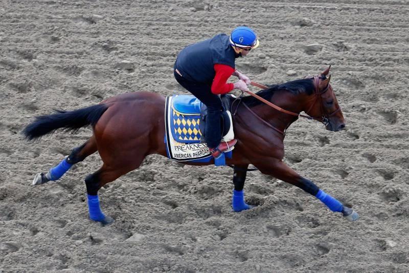 Derby winner American Pharoah has dreaded rail for Preakness