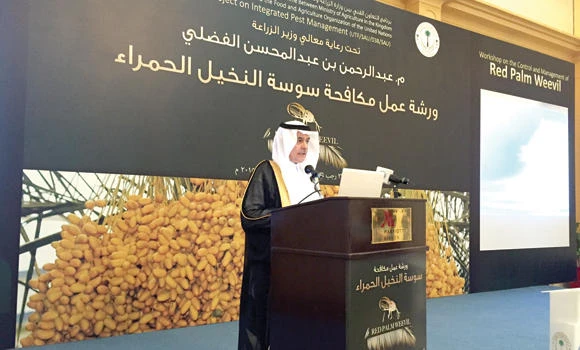 Seminar tackles challenge posed by red palm weevil