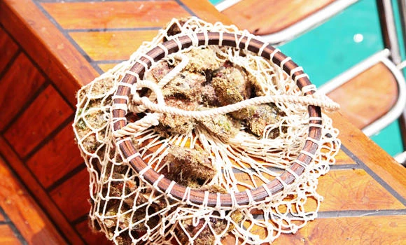 Qatar’s pearl divers seek riches and tradition