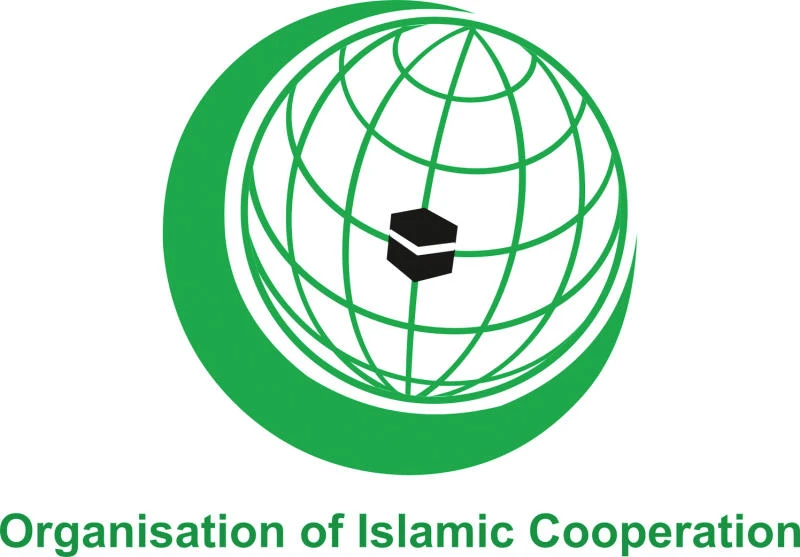 OIC Yemen aid through NGOs
