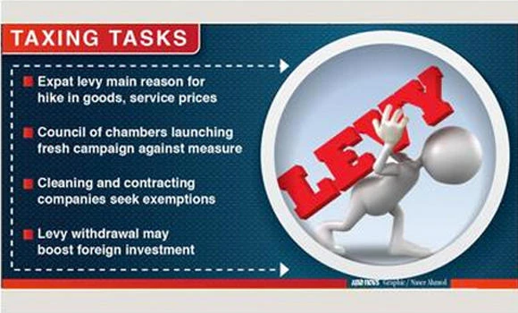 Expat levy under review