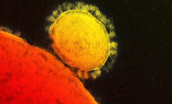 Beijing confirms first case of MERS; S. Korea reports 10