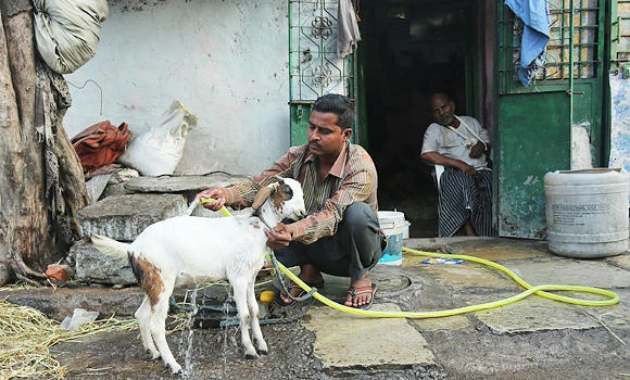 Rains cool down India after heat wave killed 2,000