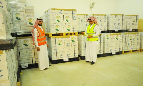 KSA, Egypt share ‘common vision’ on Yemen war