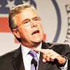 Another Bush is on the move