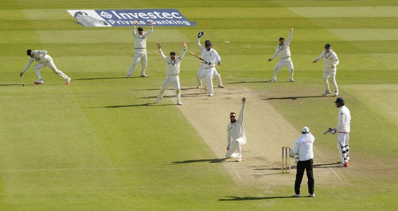 Ruthless New Zealand completes emphatic win to level series