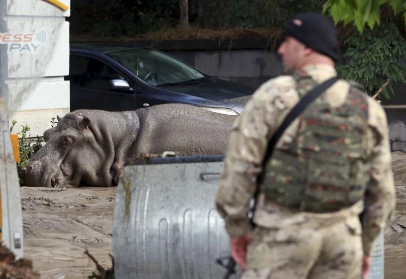 Deadly zoo animals roam Georgian capital after floods kill 9 people