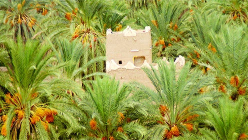 SCTA partners with key ministries for agri-tourism development