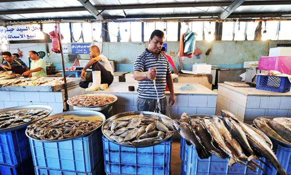 Qunfuda residents slam prohibitive prices of fresh fish