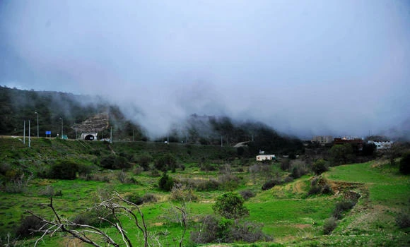 Abha unveils plans to attract investors