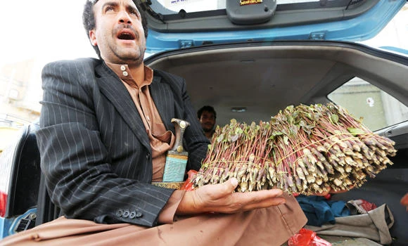 Stiff fines in Al-Qaeda campaign to stamp out qat in Yemen city
