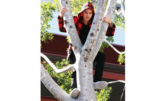 Bieber wows fans by climbing up a tree
