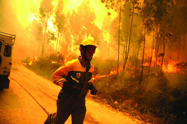 Wildfires break out in Spain, Portugal; 1,350 evacuated