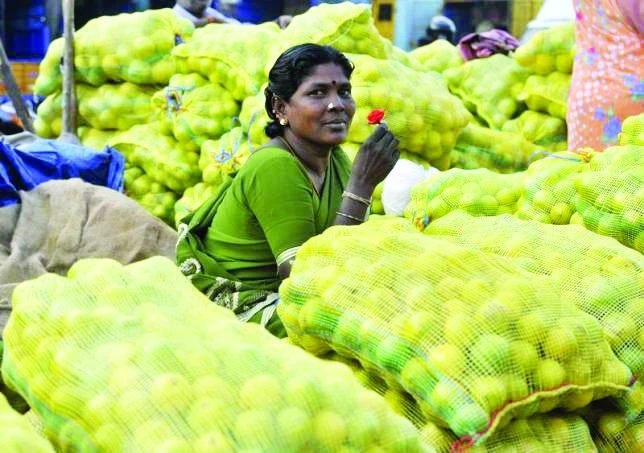 India’s two-speed inflation strains indebted companies