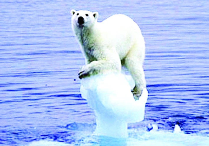 Seas could rise 6 meters even if govts curb warming