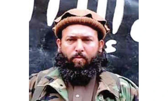 Top Daesh commander killed in Afghanistan
