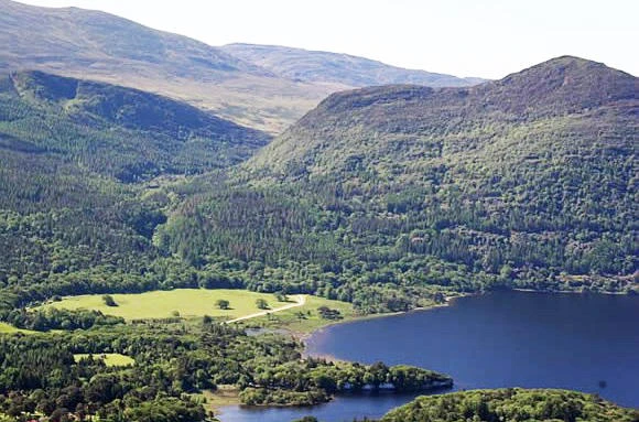 Ireland perfect getaway for summer: Envoy