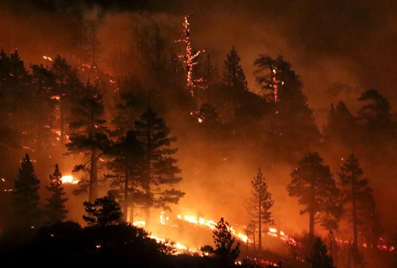 Motorists flee as wildfire races across California freeway