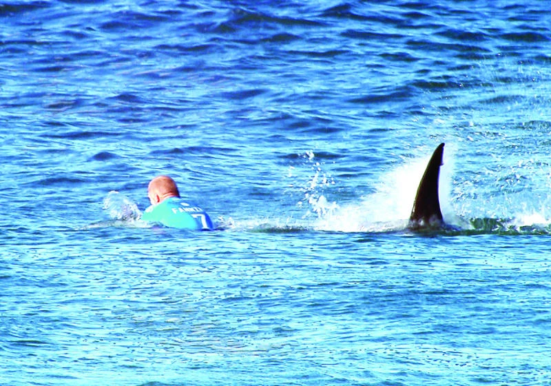 Surf pro fights off shark attack on live television