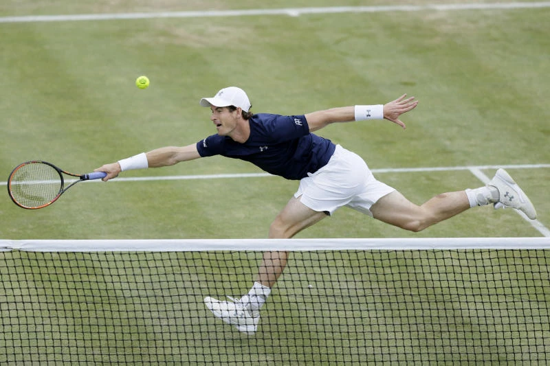 Murray ends Britain’s 34-year wait to make Davis Cup semis