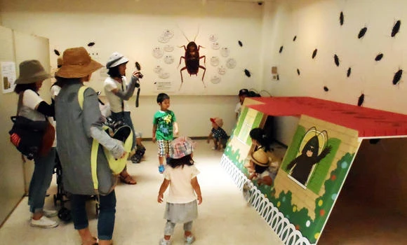 Japan zoo takes on cockroach PR role