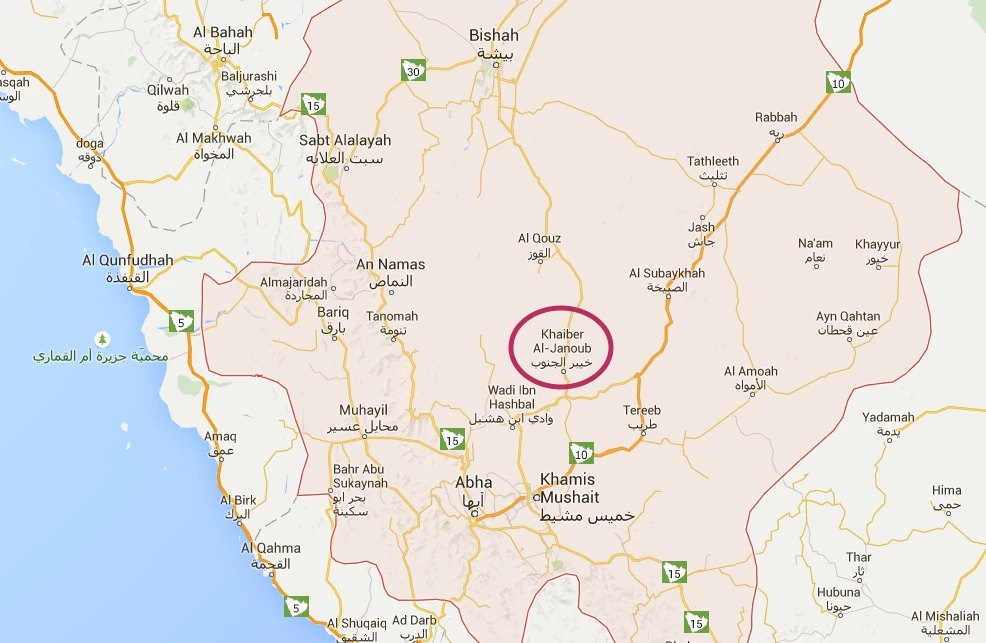 Man goes berserk, kills three