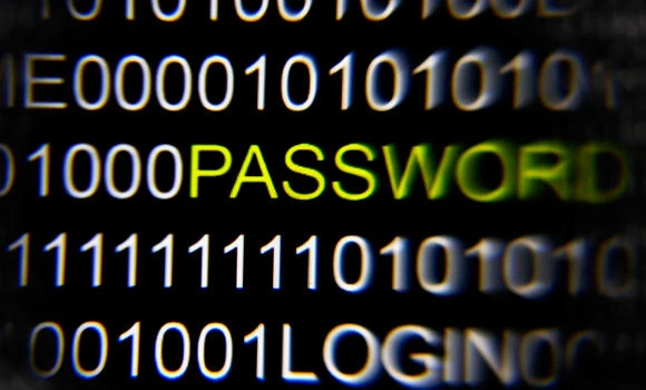 Govt site foils hacking bid
