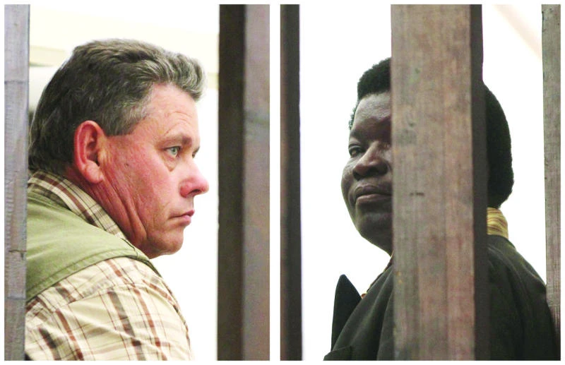 Zimbabweans linked to illegal lion hunt appear in court