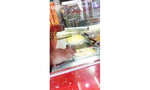 Inspectors close down ‘rat’ restaurant