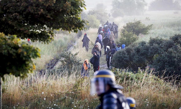 EU urged to take action on Calais migrant crisis
