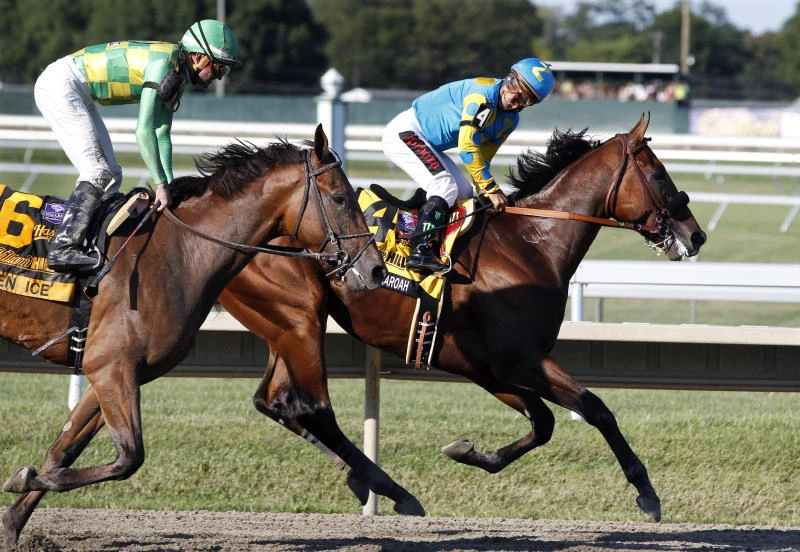 Pharoah delights in encore performance since Triple Crown