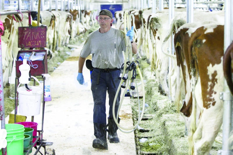 Milk politics: Deadlock over dairy hits Pacific trade pact