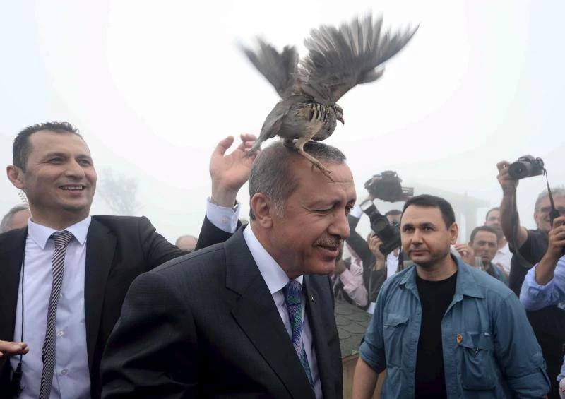 Turkey nationalists reject minority govt in blow to Erdogan