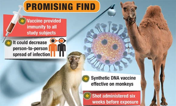 MERS vaccine protects monkeys