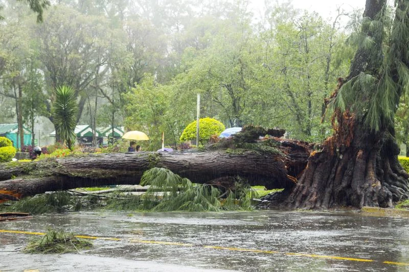 Typhoon Goni leaves 10 dead, 2 missing in Philippines