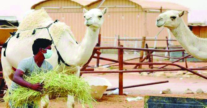 Experts say hospitals need to prevent MERS infections