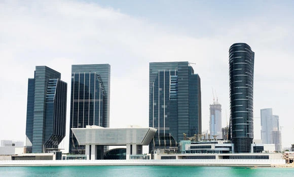 41 accused of govt-overthrow plot appear in Emirates court