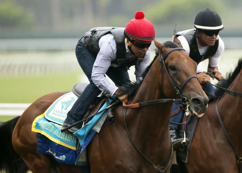 American Pharoah 1-5 favorite in 10-horse field for Travers