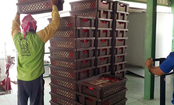 Arab News | 30 tons of counterfeit goods seized in Makkah