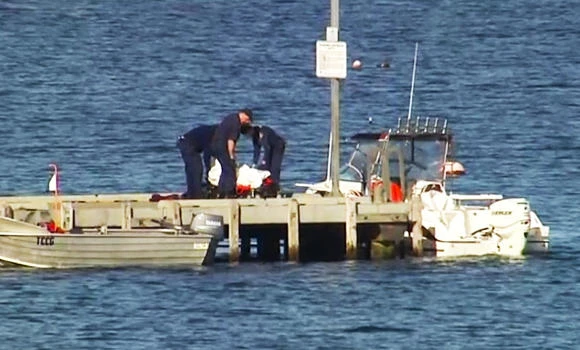 Surfer punches shark to escape attack in Australia